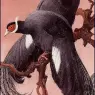 Charles_Tunnicliffe-Index04-BlueEaredPheasants_je
