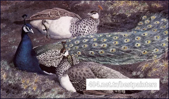 Charles_Tunnicliffe-Index04-Peacock_Consorts_je