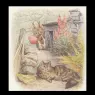 benjamin_bunny19a_11x11