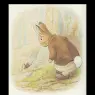 benjamin_bunny5a_11x12
