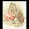 benjamin_bunny7a_11x12
