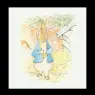 peter_rabbit10a_11x11