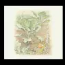 peter_rabbit13a_11x11