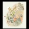 peter_rabbit20a_11x12