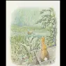 peter_rabbit26a_11x13