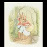 peter_rabbit6a_11x12