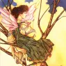 Canty_Thomas-Fairie-D50