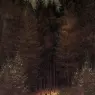 FRIEDRICH_Caspar_David_The_Chasseaur_In_The_Forest