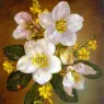 Cecil Kennedy (1905-1997)