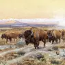 Russell_Charles_Marion_The_Bison_Trail