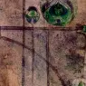Charles Rennie Mackintosh
