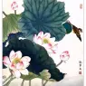 Chen Jun