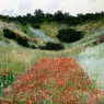 Monet_Poppy_Field_In_A_Hollow_Near_Giverny_1885