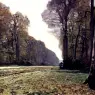 Monet_The_Road_To_Chailly