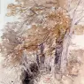 Cox_David_Tree_lined_Lane_With_Steep_Banks