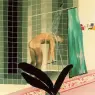David Hockney