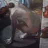 The_Tub_CGF