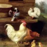 Hunt_Edgar_A_Cockerel_Hen_And_Chicks_With_Pigeons