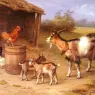 Hunt_Edgar_A_farmyard_Scene_With_Goats_And_Chickens