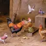 Hunt_Edgar_Chickens_In_A_Farmyard