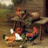Hunt_Edgar_Poultry_In_A_Barnyard