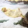 Hughes_Edward_Robert_heart_of_snow