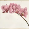 Fine Works on Paper