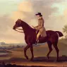 Sartorius_Francis_A_Horseman_In_A_Landscape