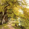 Hulme_Frederick_William_At_Ockham_Surrey_In_Summer