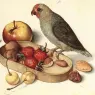 FLEGEL_Georg_Still_Life_With_Pygmy_Parrot