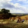 Cole_George_Harvest_Field