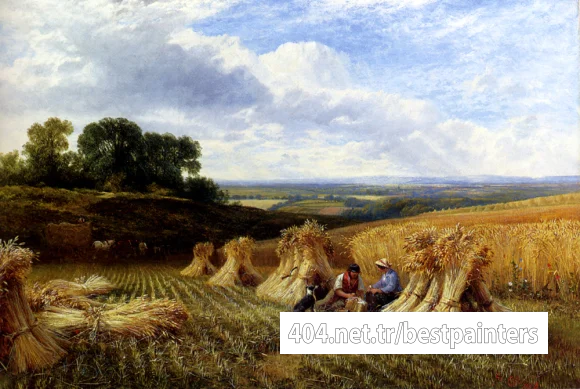Cole_George_Harvest_Field