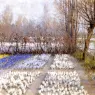 Hitchcock_George_Spring_Crosuc_Fields