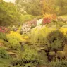 Marks_George_A_Watergarden