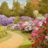 Marks_George_The_Rhododendron_Walk