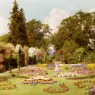 Marks_George_The_Rose_Garden