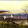 pa_GeorgePhillips_AustralianBush_01