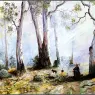 pa_GeorgePhillips_AustralianBush_03