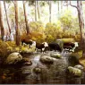 pa_GeorgePhillips_AustralianBush_05