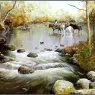pa_GeorgePhillips_AustralianBush_07