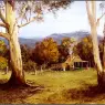 pa_GeorgePhillips_AustralianBush_09