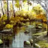 pa_GeorgePhillips_AustralianBush_10