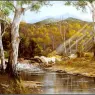 pa_GeorgePhillips_AustralianBush_11