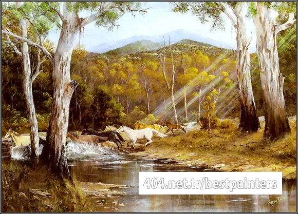 pa_GeorgePhillips_AustralianBush_11