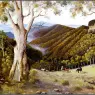 pa_GeorgePhillips_AustralianBush_12