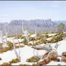 pa_GeorgePhillips_LandscapesOfAustralia_04