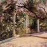 Almond_Trees_Algiers