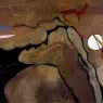 dcvfbgnhjk