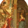 signorelli4