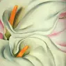 okeeffe5